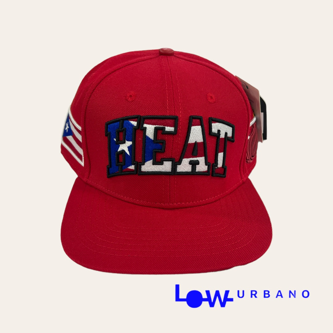 Gorra Miami Heat Pro Standard