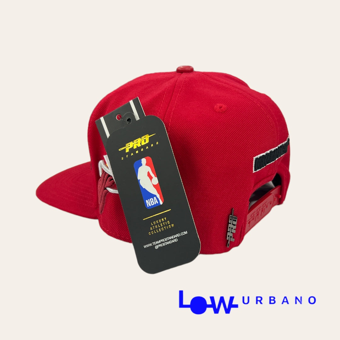 Gorra Miami Heat Pro Standard